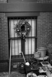 Yule Remnant