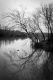 Morning on the Chattahoochee