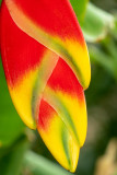 _DSC8621.jpg