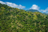 _DSC8892.jpg