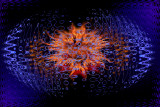 Digital Art of Steve Berliner