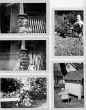 img097.jpg