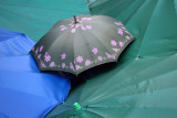umbrellas.JPG