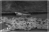 boat in the moat.jpg