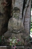 buddha tree.jpg