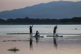 paddle boards.jpg