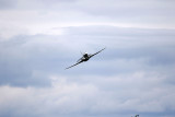 3791 Meeting aerien de la Ferte Alais 2019 - IMG_4393 DxO Pbase.jpg