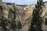 1793 - Grand Teton and Yellowstone NP road trip 2019 - IMG_3645 DxO pbase.jpg