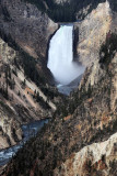 1823 - Grand Teton and Yellowstone NP road trip 2019 - IMG_3679 DxO pbase.jpg