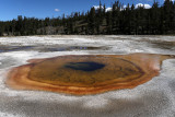 4808 - Grand Teton and Yellowstone NP road trip 2019 - IMG_6760 DxO Pbase.jpg