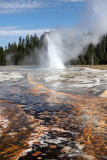 5538 - Grand Teton and Yellowstone NP road trip 2019 - IMG_7480 DxO Pbase.jpg