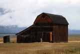 6482 - Grand Teton and Yellowstone NP road trip 2019 - IMG_8328 DxO Pbase.jpg