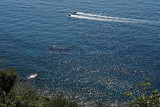 742 Dcouverte des Cinque Terre - IMG_3572_DxO Pbase.jpg