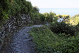939 D‚couverte des Cinque Terre - IMG_3778_DxO Pbase.jpg