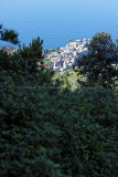957 D‚couverte des Cinque Terre - IMG_3797_DxO Pbase.jpg
