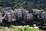 1169 Dcouverte des Cinque Terre - IMG_4015_DxO Pbase.jpg