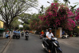 2116 - Two weeks in Vietnam - IMG_2143 DxO Pbase.jpg