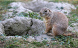 2006 - Visite du parc zoologique du château de Branféré