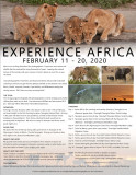 Experience Africa