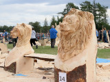 Carve CB 2022 330