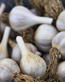 Shaker Square Garlic Festival2