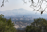 Hazy view of Mt. Diablo, thanks to forest fires