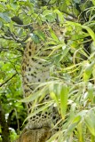 DSC_5941 Resize.jpg
