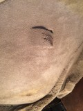 IMG_0751.JPG