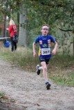 OGP_20191027_20191027_0544.jpg