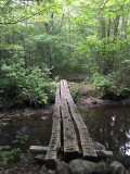 nassbridge2.jpg