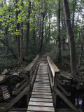 nassbridge3.jpg