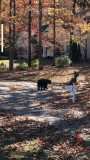 bearoct19.jpg