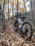 tallboy-crescent20.jpg