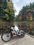 tallboy-wt20.jpg