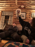 sheepcabin.jpg