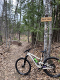 marshalls-bike.jpg