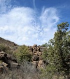 Skyscapes