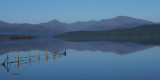 Net Bay and the Glen Luss hills, RSPB Loch Lomond