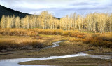 Oxbow Bend at Sunrise