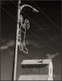 Cowboy Christmas Decoration, Grenola, Kansas