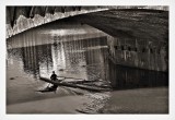 Sculling the Arno
