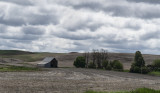 Overcast Day, The Paloose