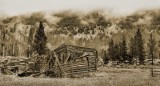 The Toll Of Time