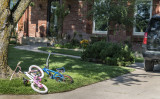 Bike Park