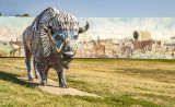 Customized Bull, El Reno, OK