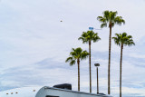 Towed Advertisement