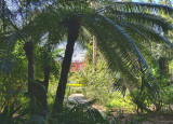 Bright Sun, Deep Shade