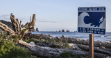 Tsunami Hazard Zone