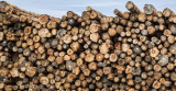 Logs