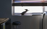 My Sink View